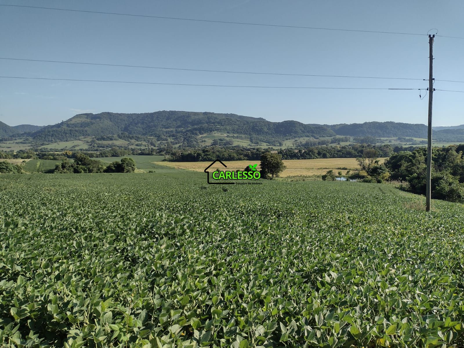 Área de 8,5 ha a venda