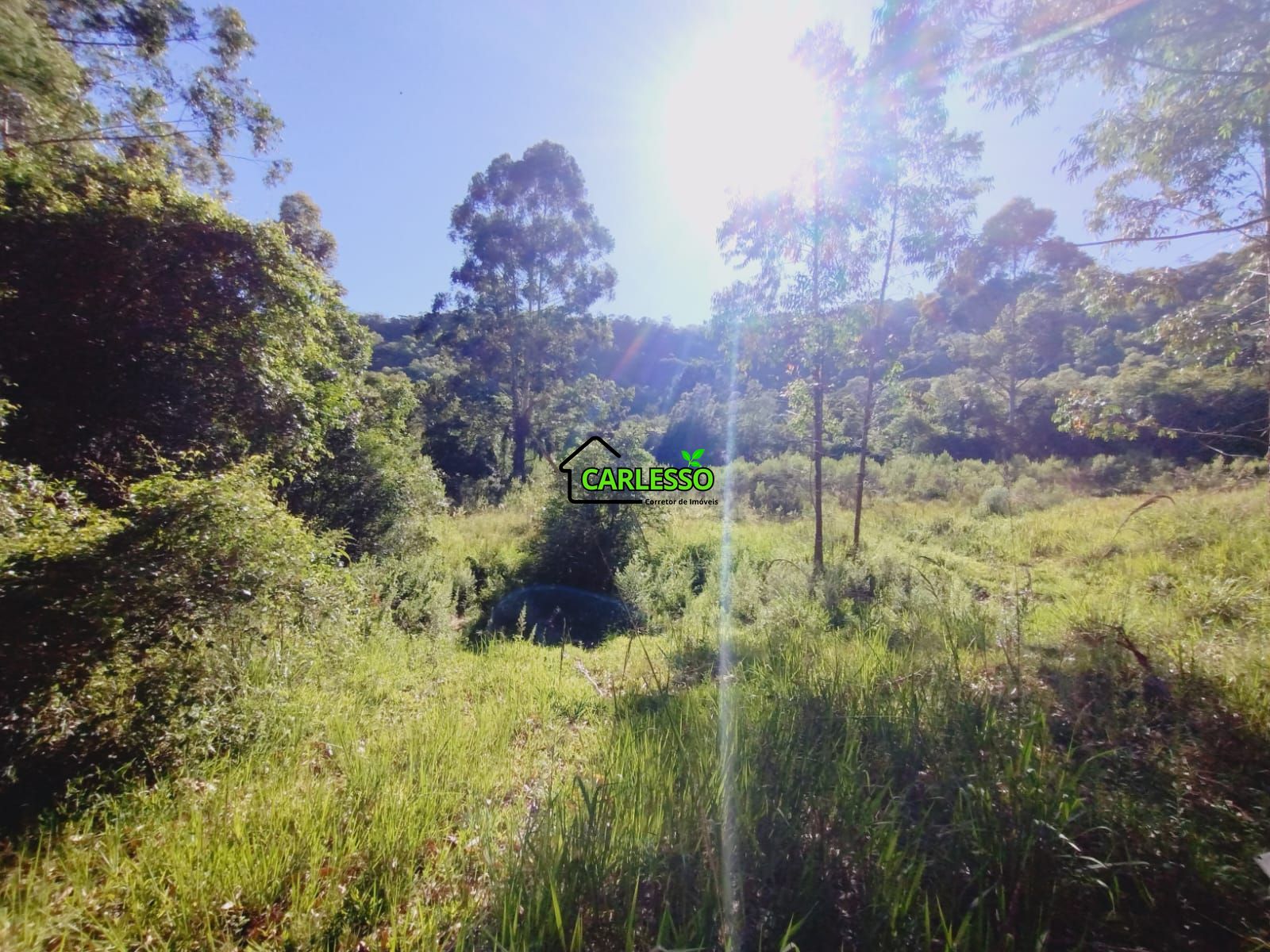 Sítio, 9 hectares - Foto 29