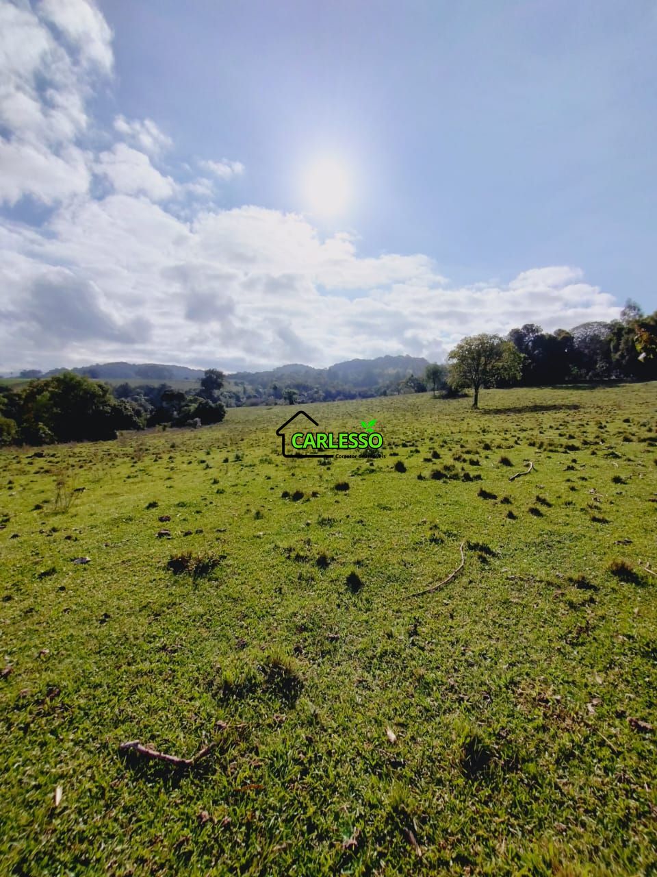 Chácara, 9 hectares - Foto 15