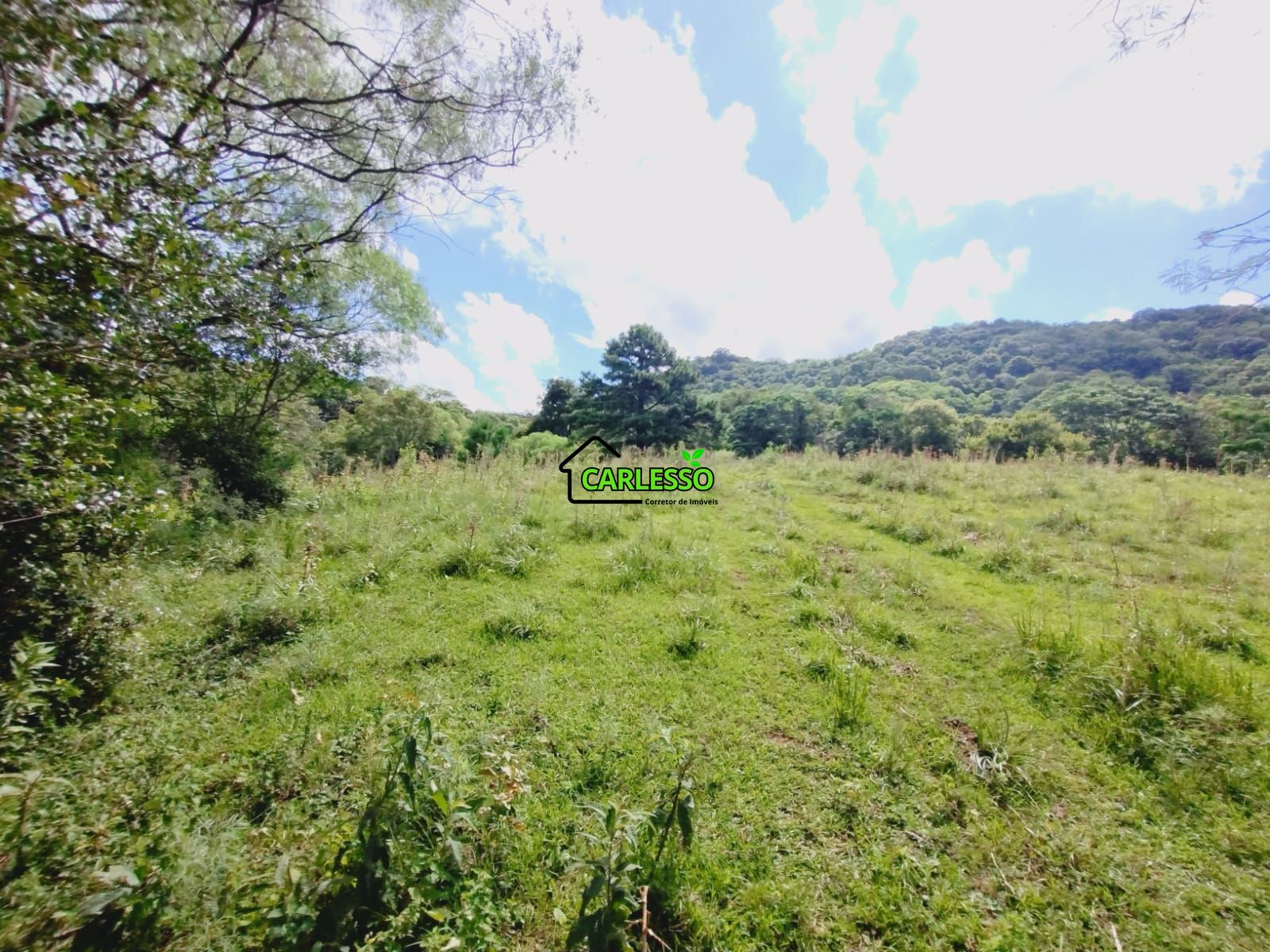 Sítio, 23 hectares - Foto 26