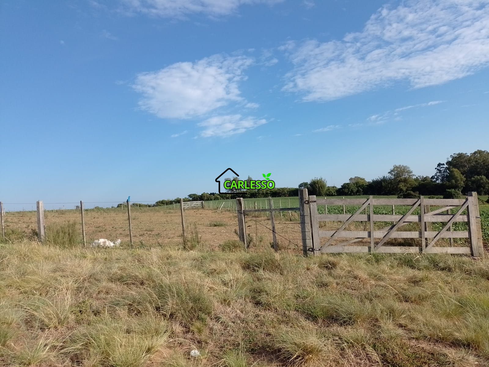 Fazenda com 63 ha
