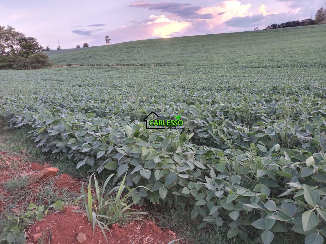 48 ha em santo ângelo