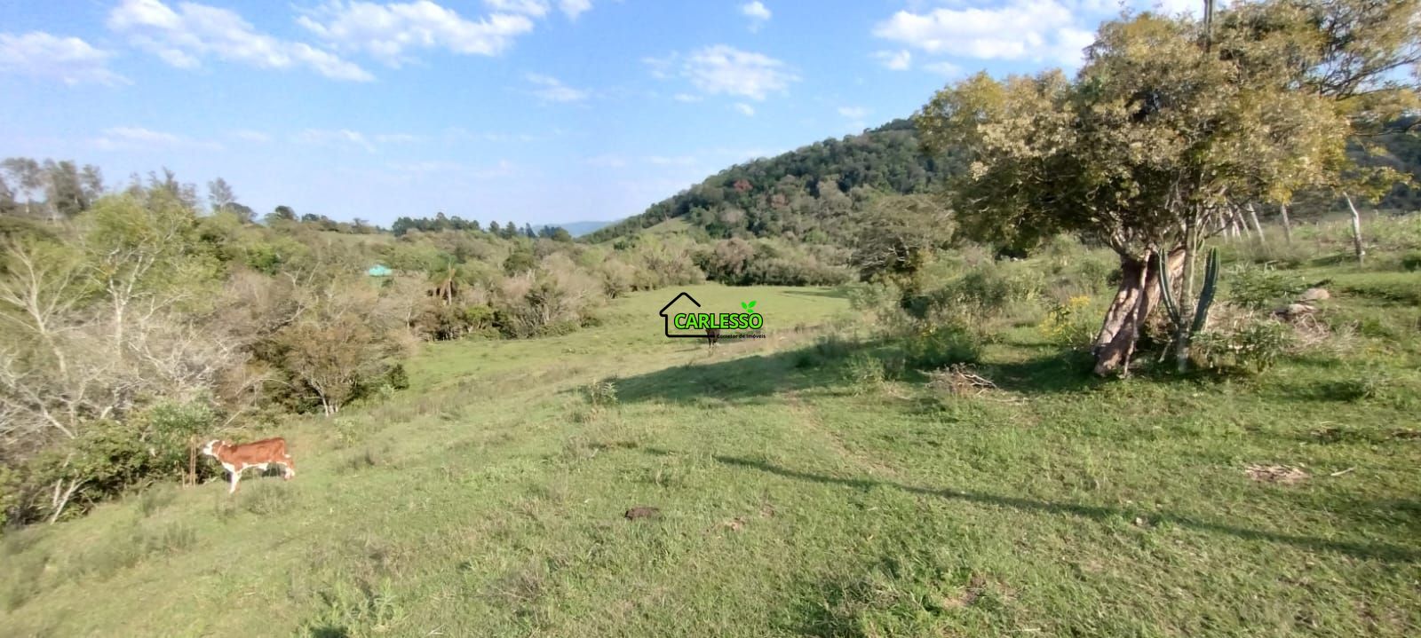 Área rural de 5 ha