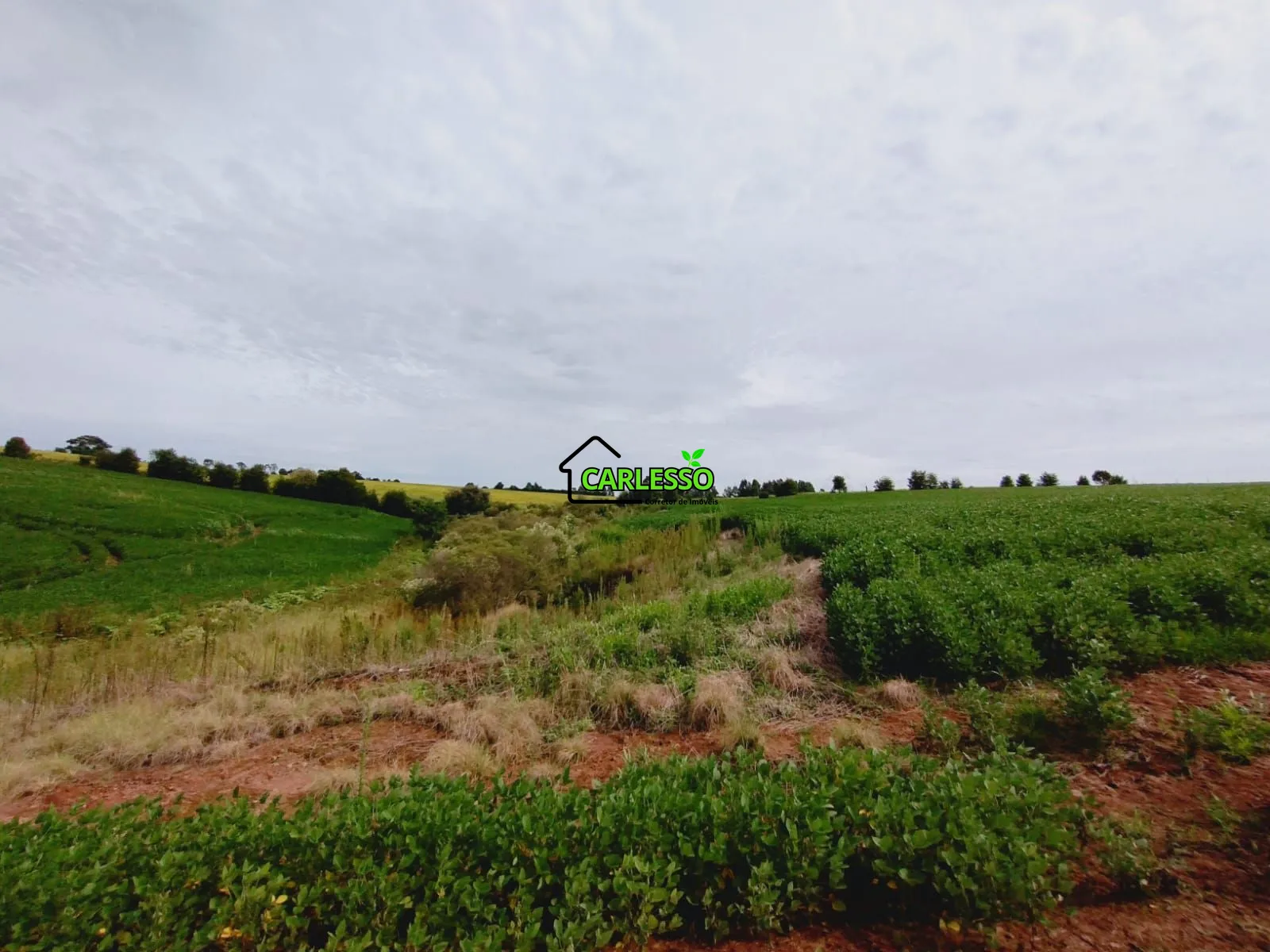 Sítio, 3 quartos, 25 hectares - Foto 33