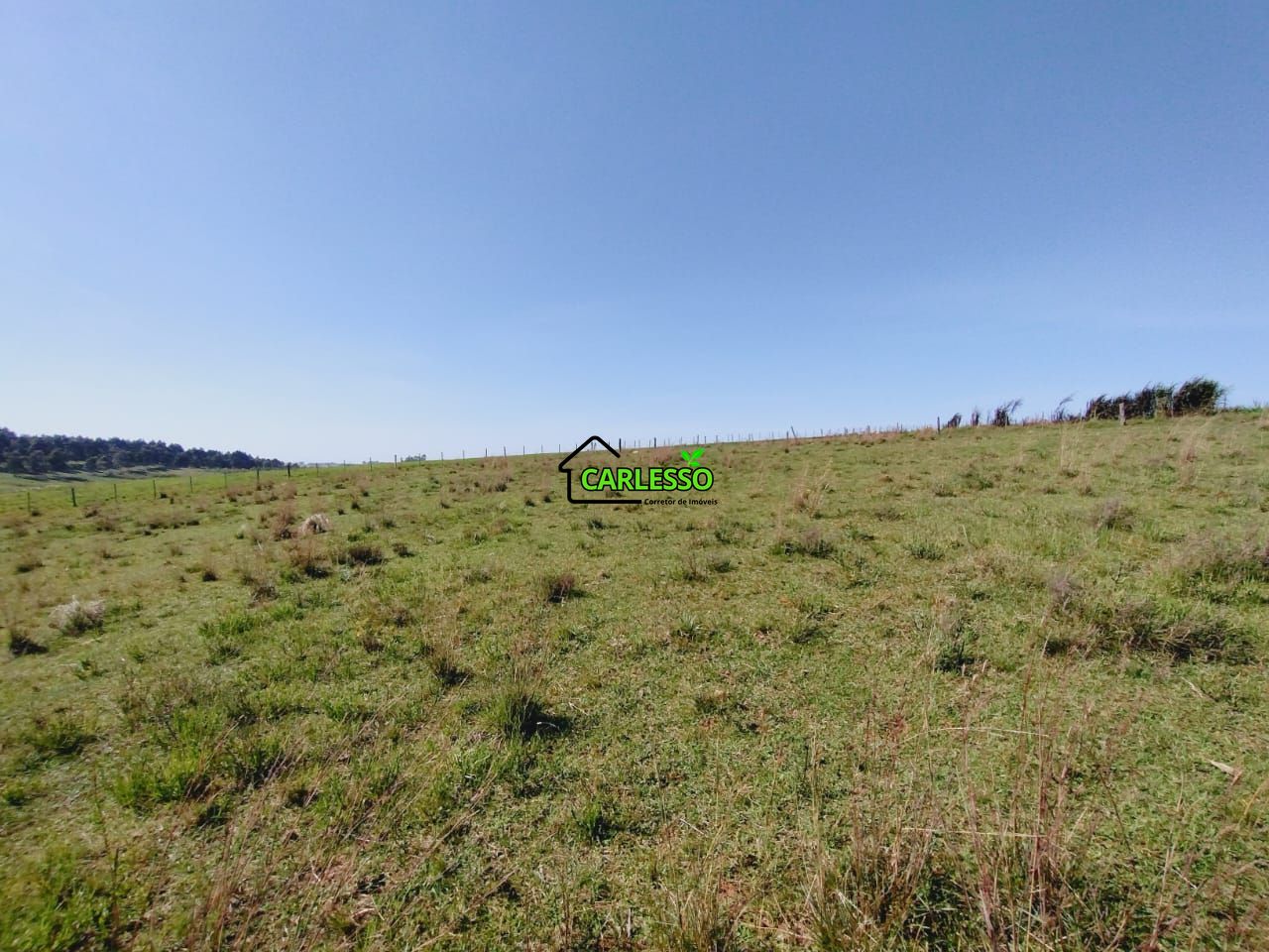 Chácara, 2 quartos, 2 hectares - Foto 43