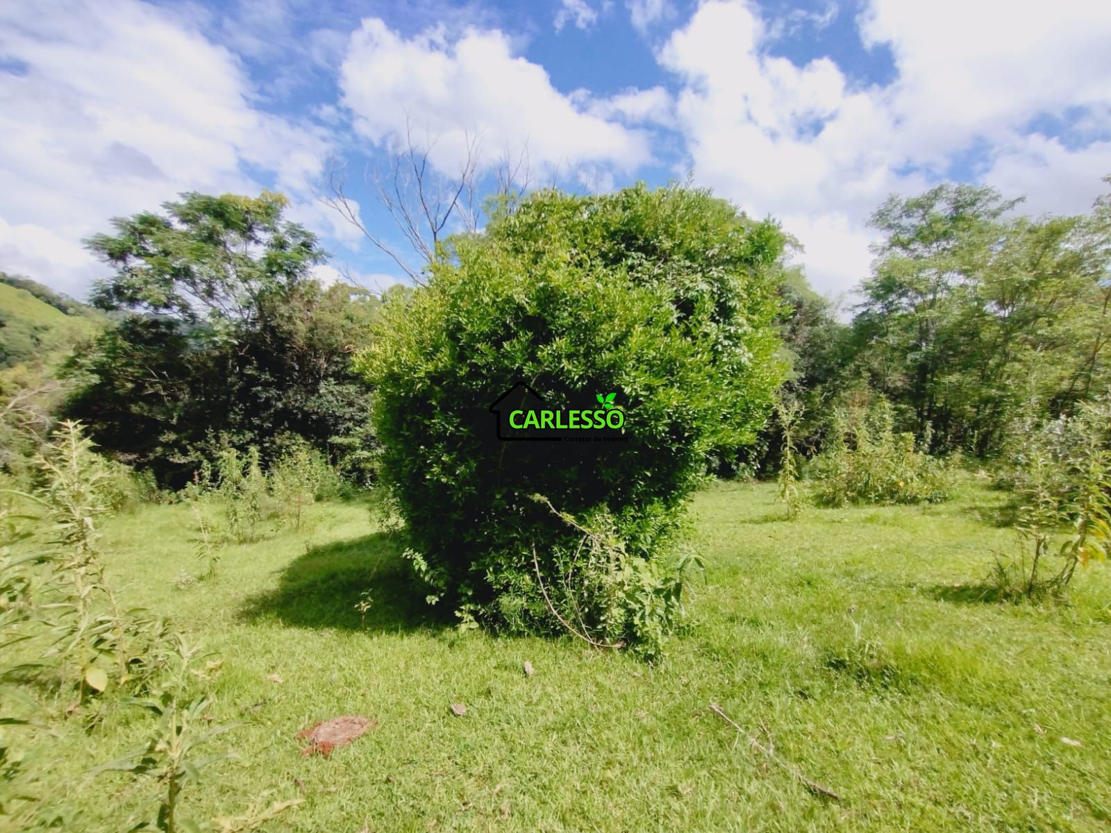 Sítio, 23 hectares - Foto 14