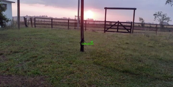 Chácara, 2 quartos, 2 hectares - Foto 2