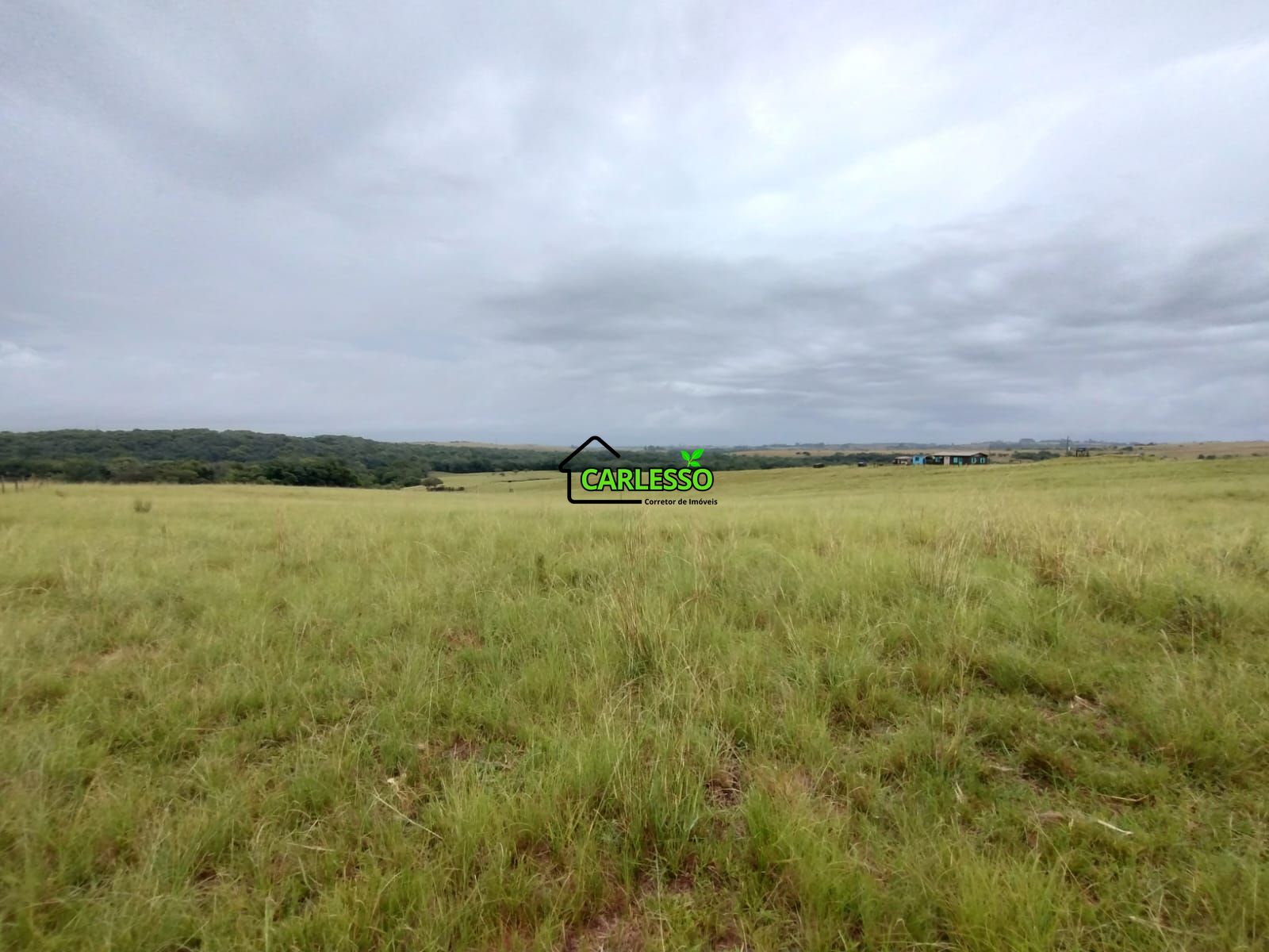 Fazenda de 80 ha em Alegrete