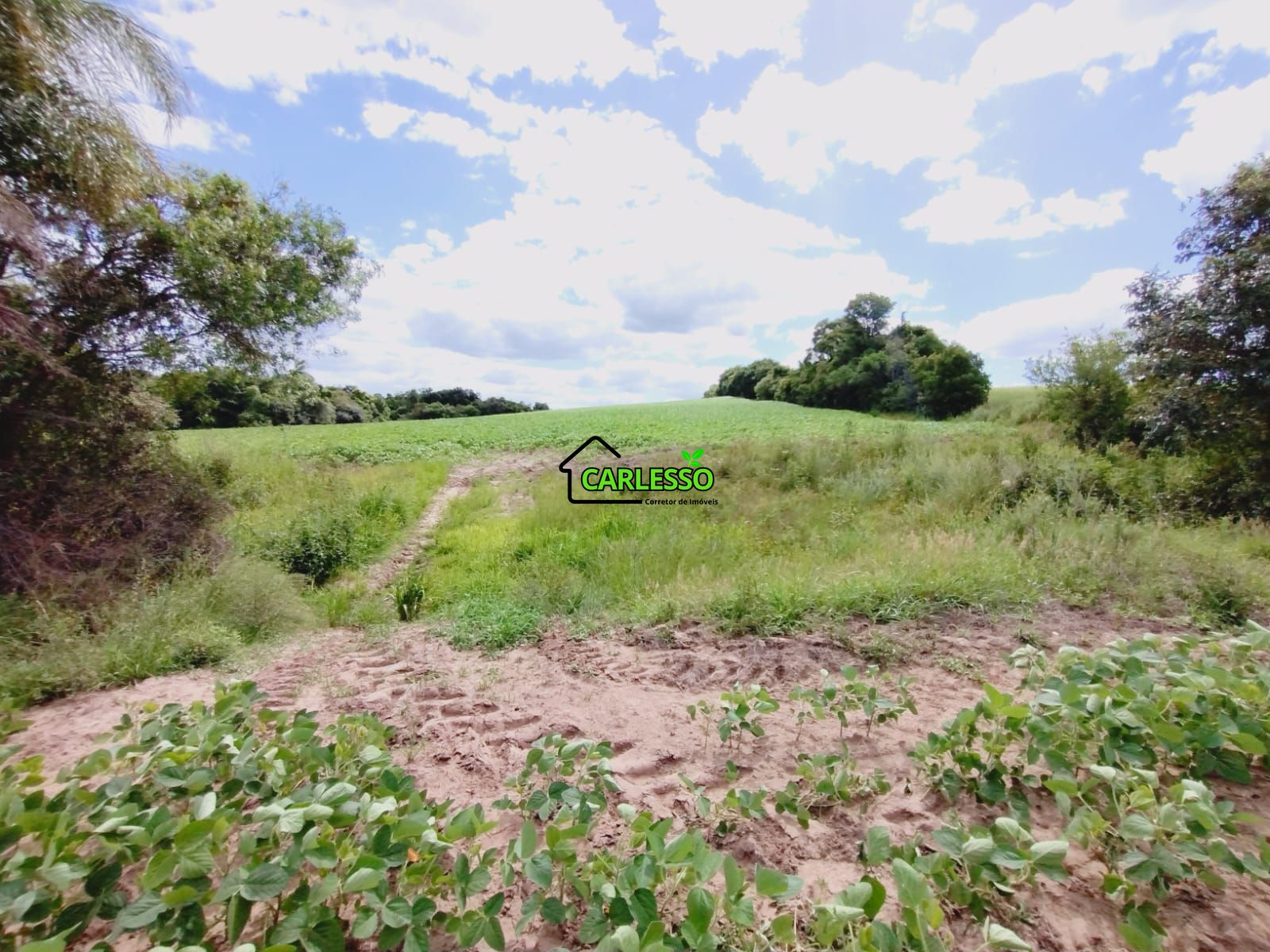 Sítio, 25 hectares - Foto 52