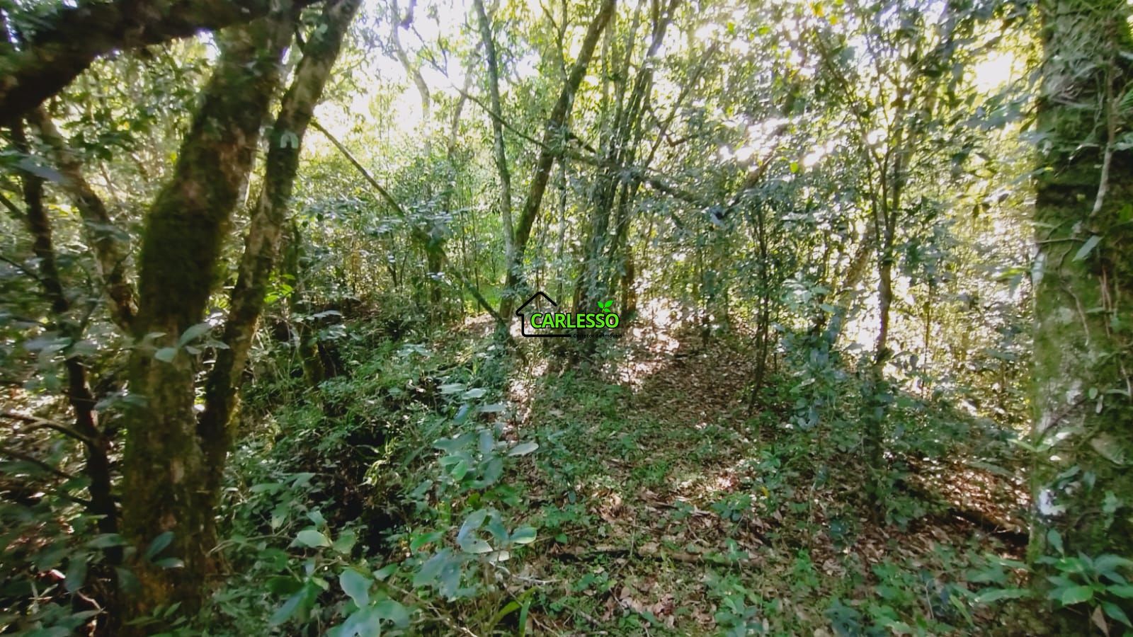 Área rural de 28 ha