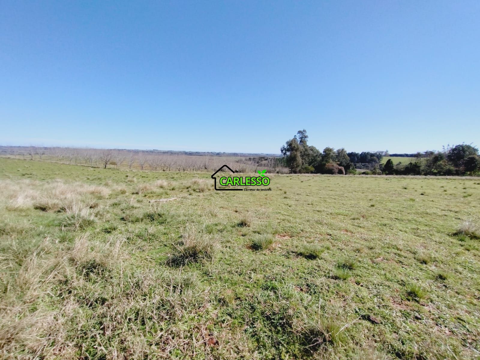 Chácara, 3 quartos, 12 hectares - Foto 45