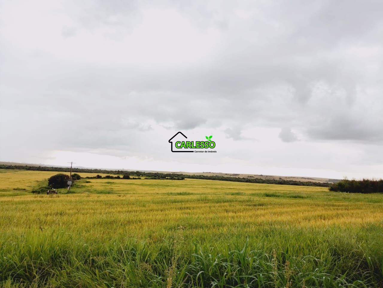 Fazenda, 119 hectares - Foto 25