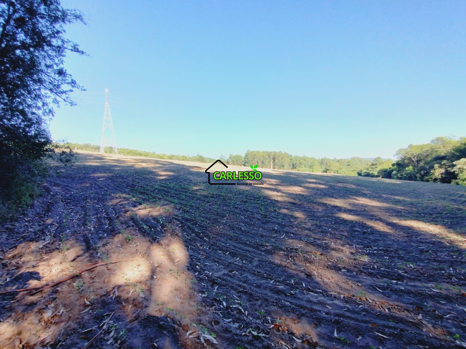 Sítio, 9 hectares - Foto 31