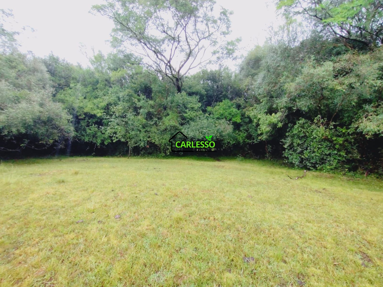 Fazenda de 80 ha em Alegrete