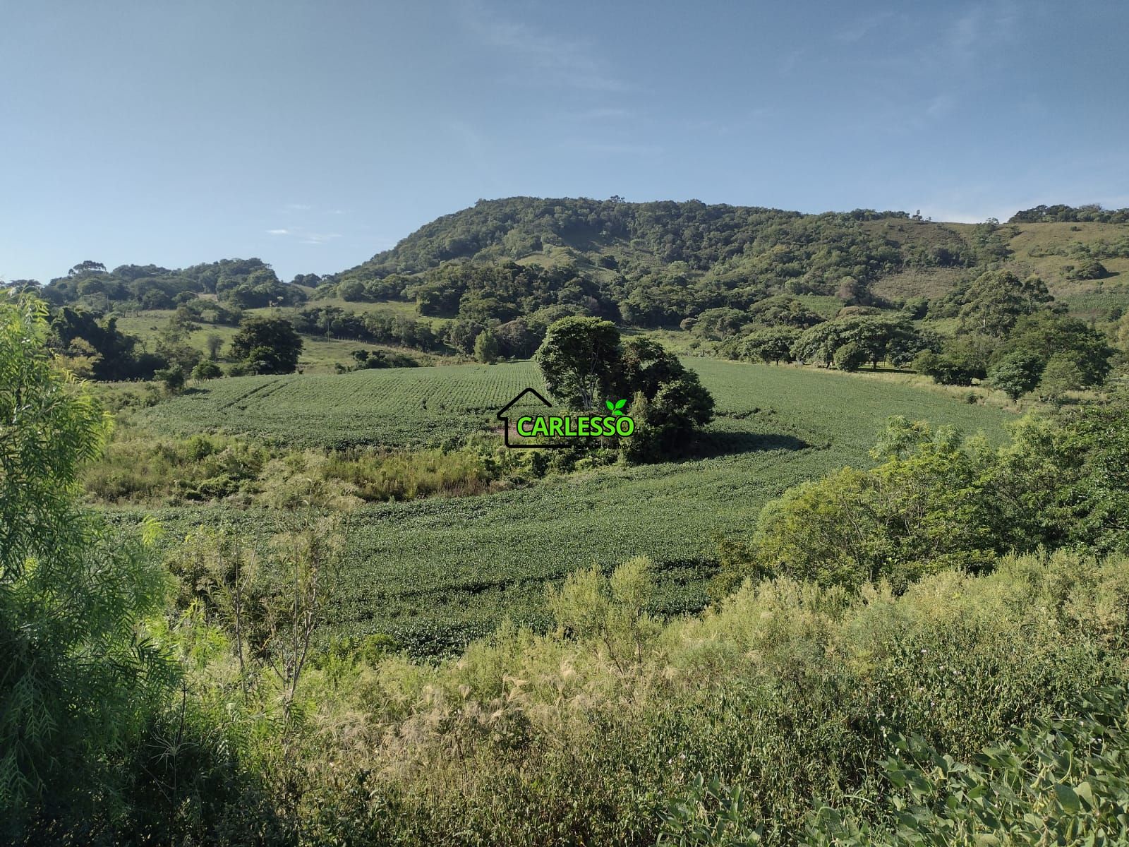 Área de 8,5 ha a venda