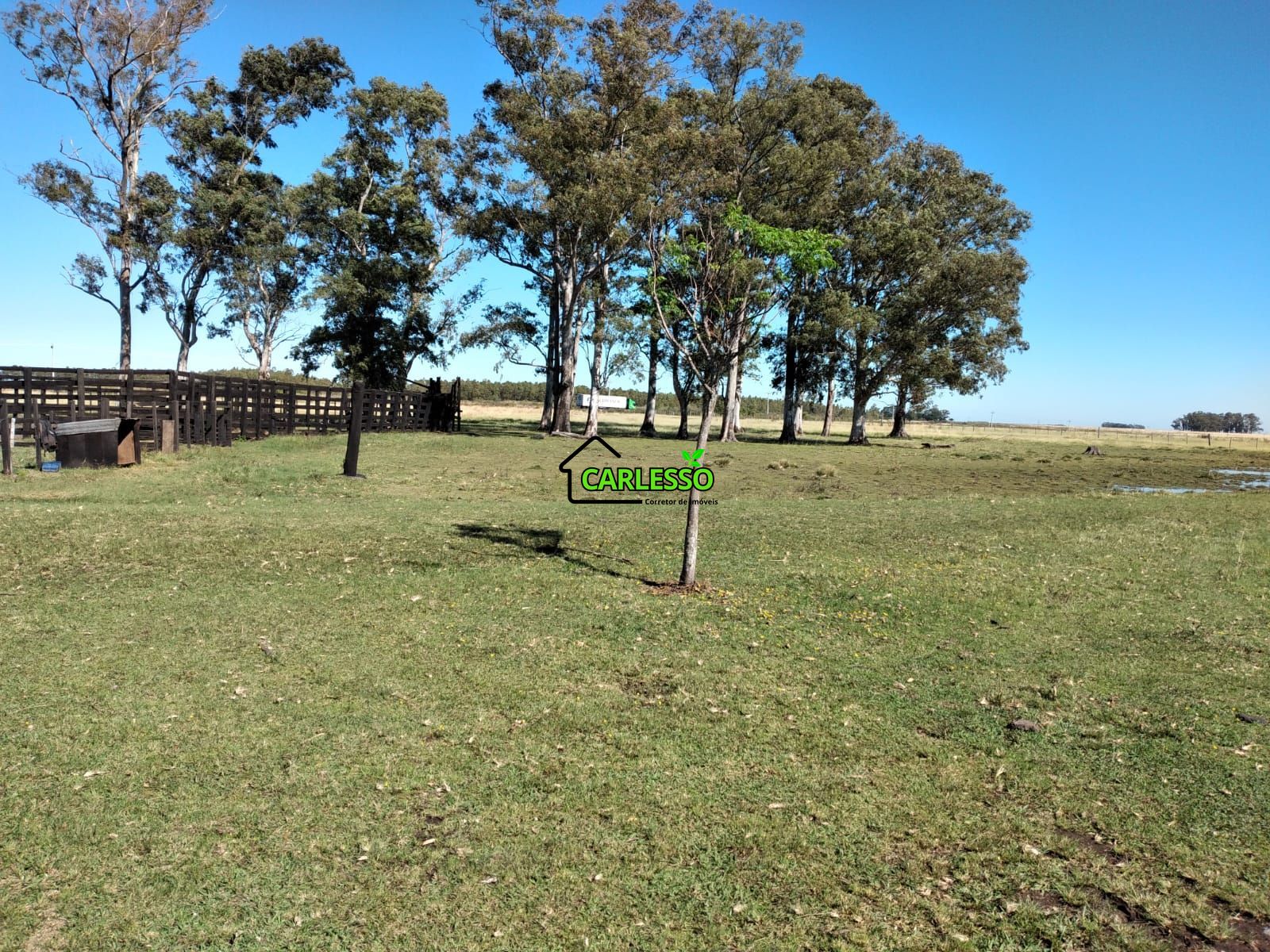 Fazenda de 65 ha