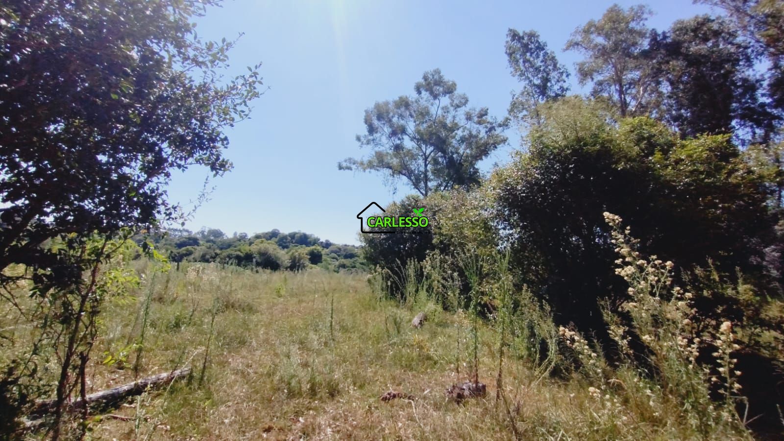 Sítio, 2 quartos, 7 hectares - Foto 47