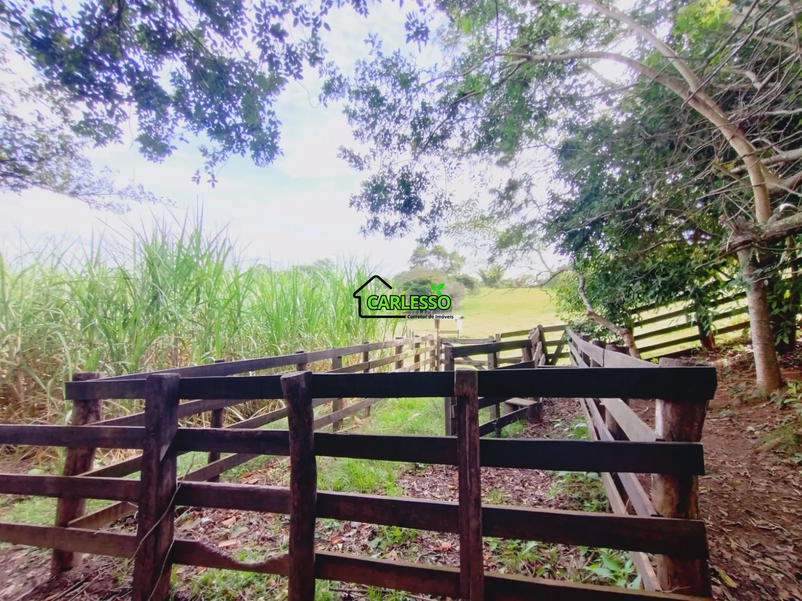 Sítio, 3 quartos, 4 hectares - Foto 60