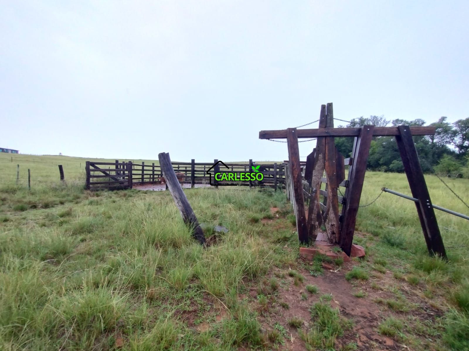 Fazenda de 80 ha em Alegrete