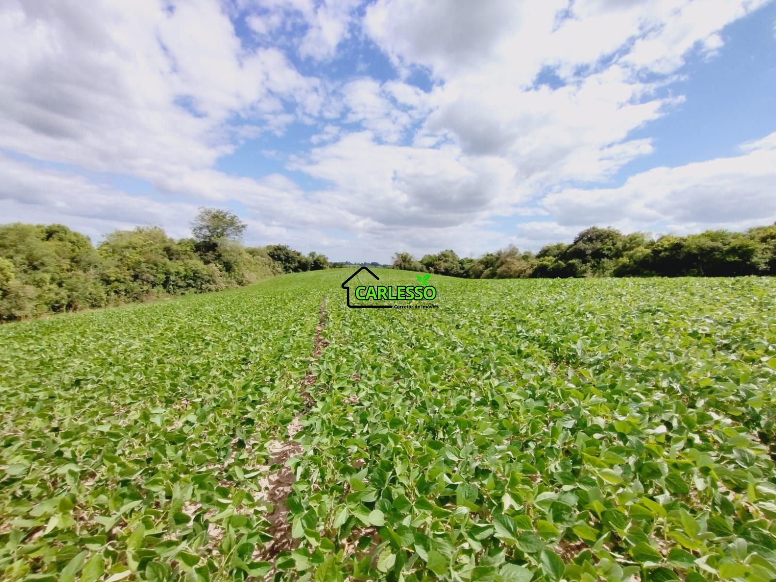 Sítio, 25 hectares - Foto 51