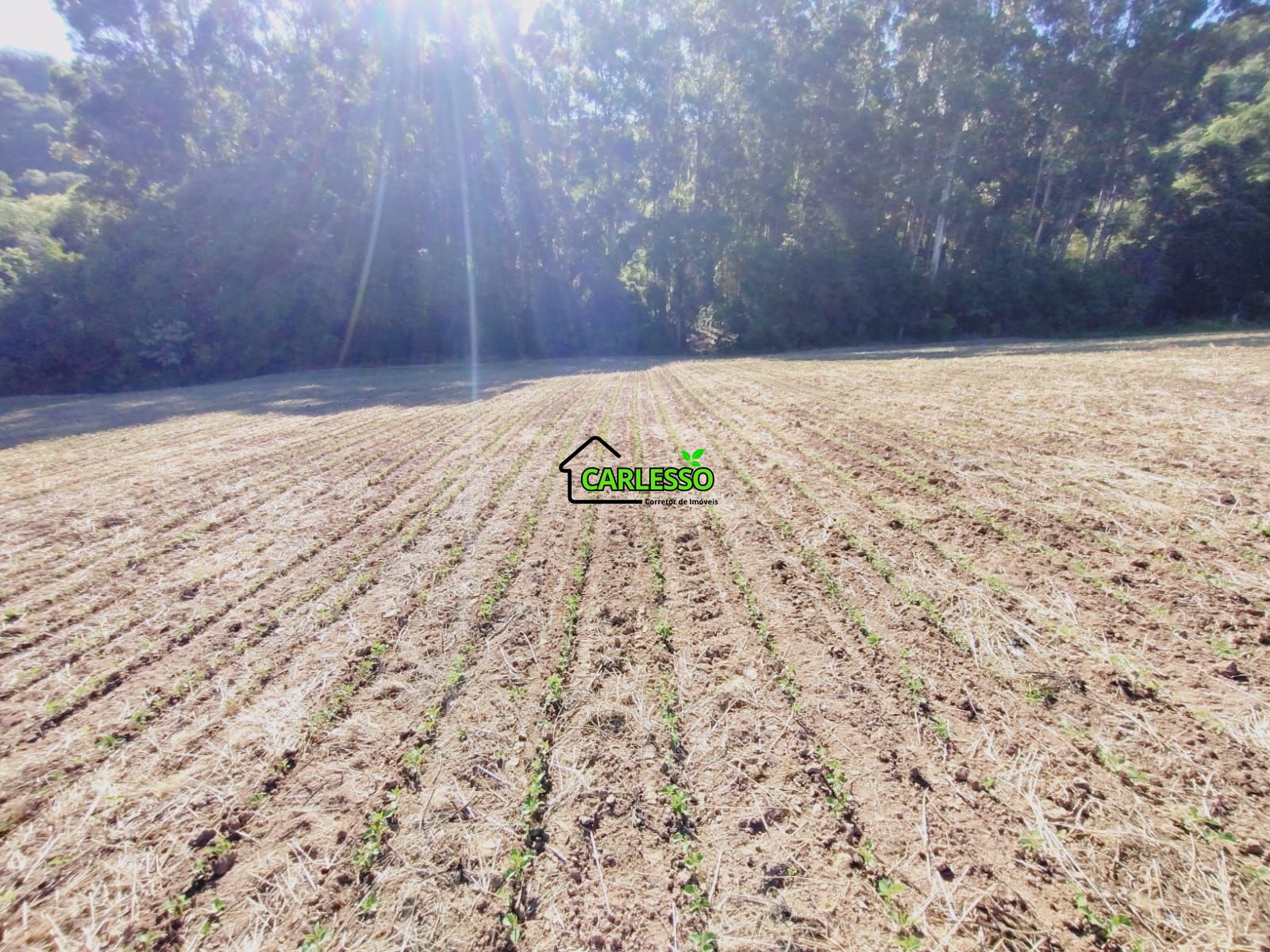 Sítio, 9 hectares - Foto 18