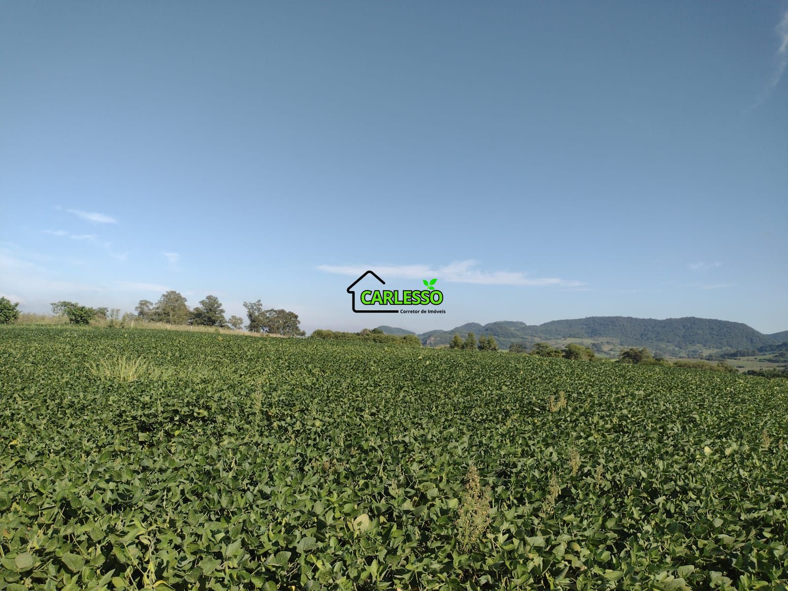 Área de 8,5 ha a venda