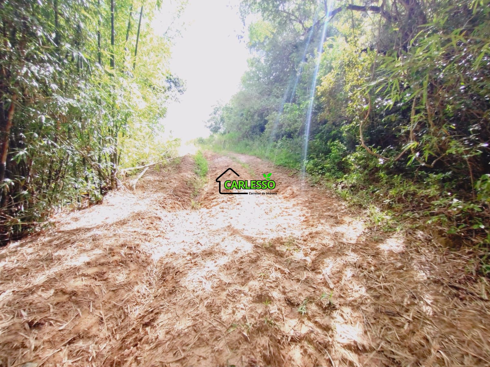 Sítio, 25 hectares - Foto 70