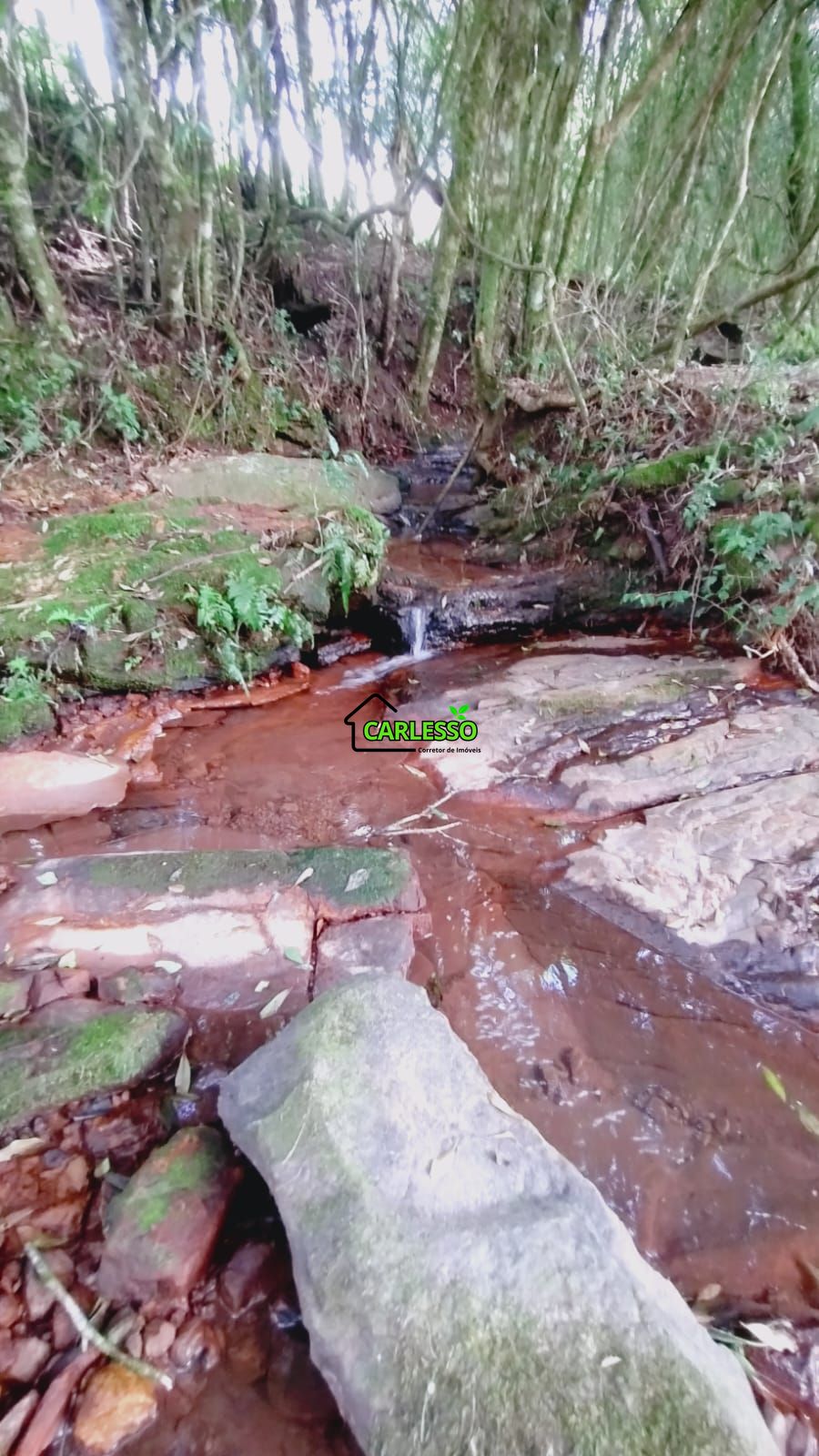 Área rural de 6 ha