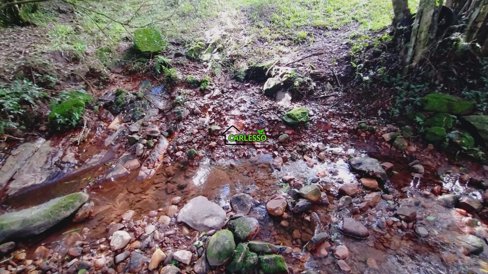 Área rural de 6 ha