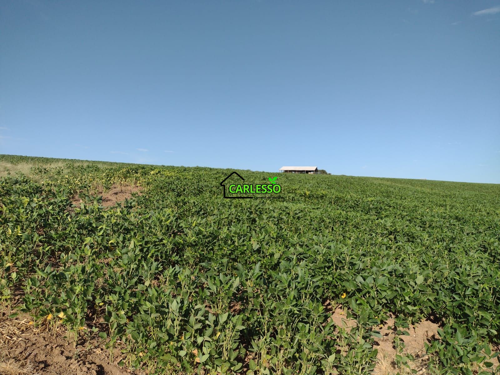 Fazenda com 63 ha
