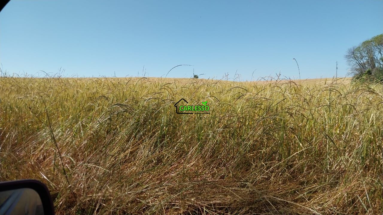 Área de 11,4 ha com casa
