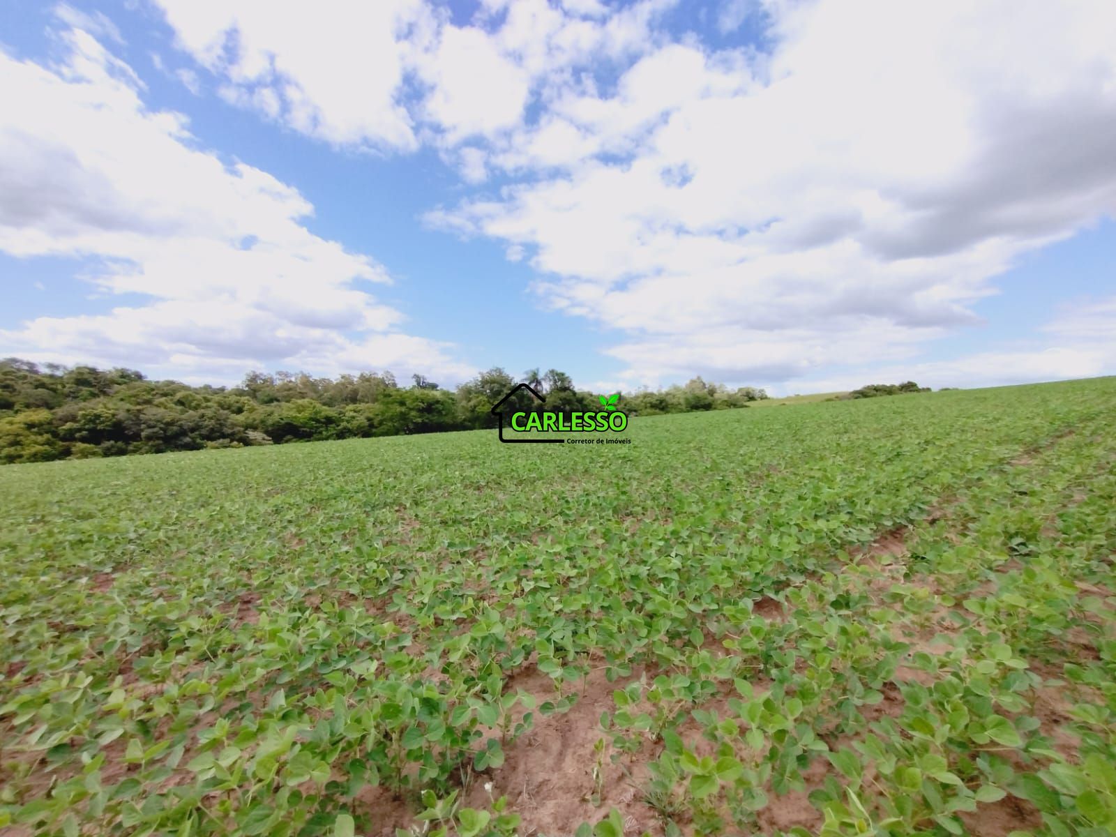 Sítio, 25 hectares - Foto 19