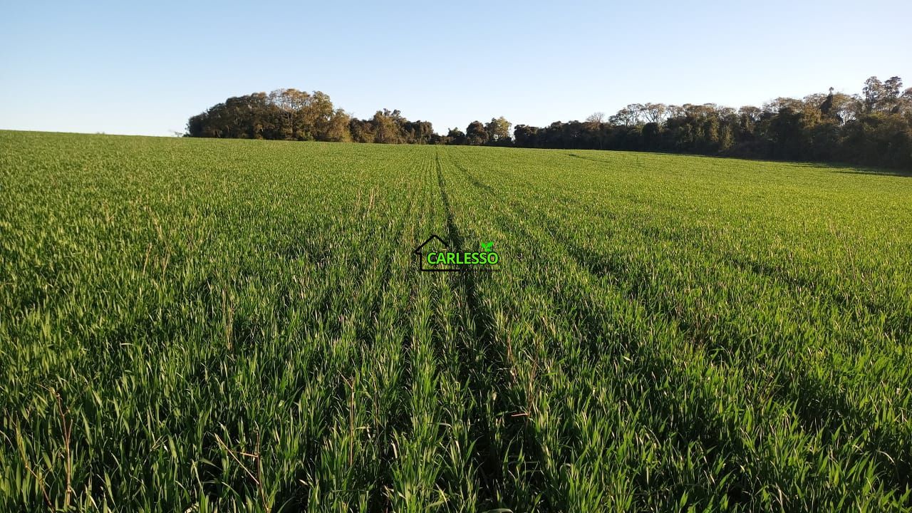 Área de 11,4 ha com casa
