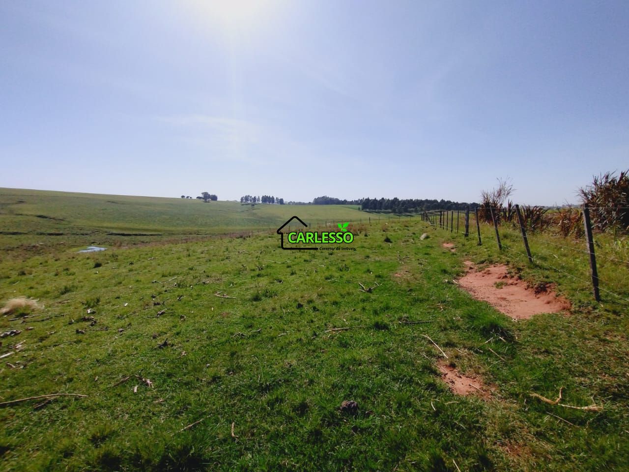 Chácara, 2 quartos, 2 hectares - Foto 41