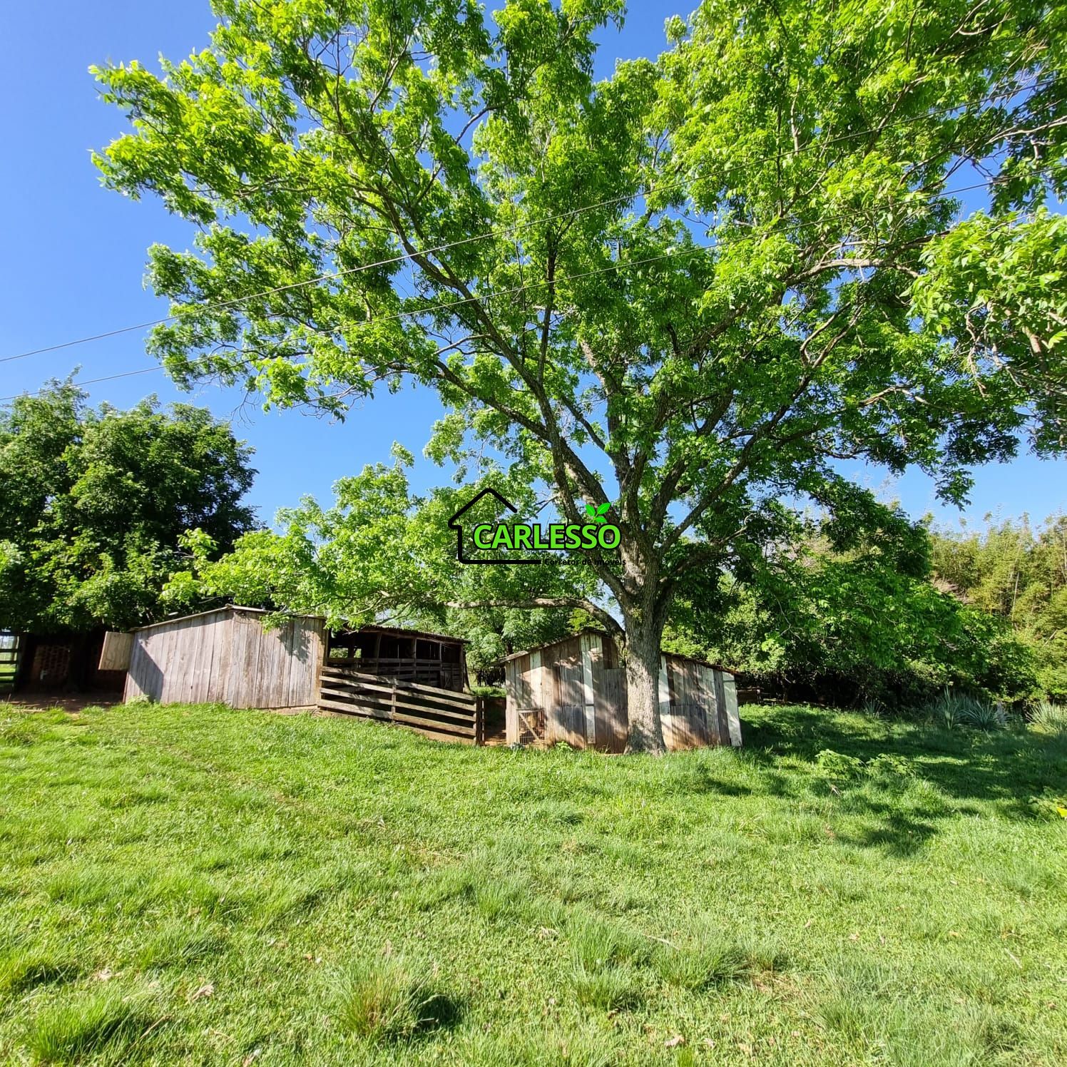 Chácara, 5 quartos, 7 hectares - Foto 12