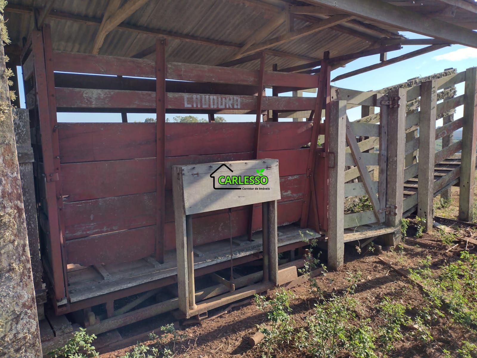 Fazenda com 63 ha