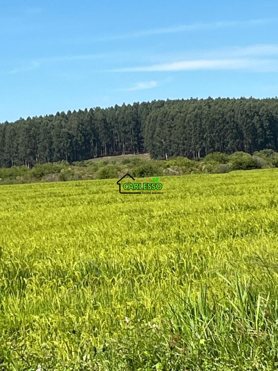 Fazenda, 511 hectares - Foto 15