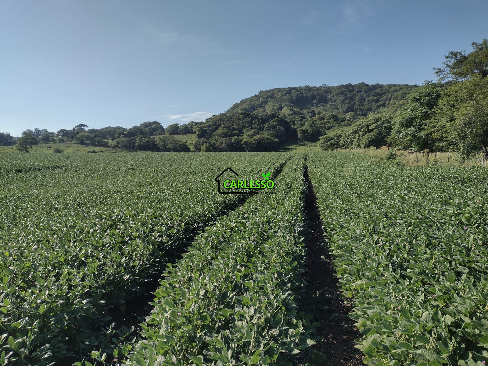 Área de 8,5 ha a venda