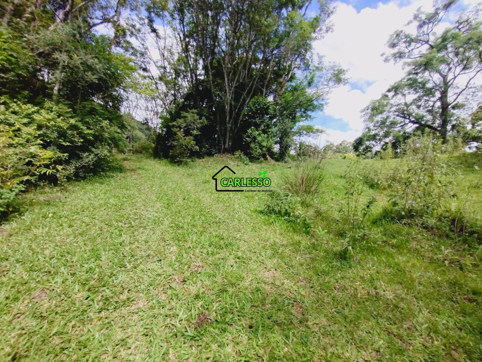 Chácara, 3 hectares - Foto 1