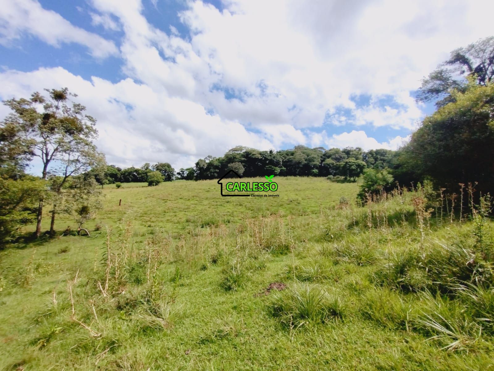 Chácara, 3 hectares - Foto 2