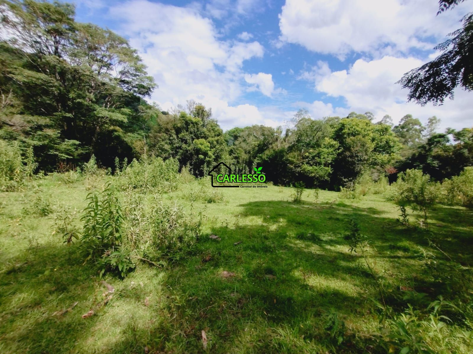 Chácara, 3 hectares - Foto 3