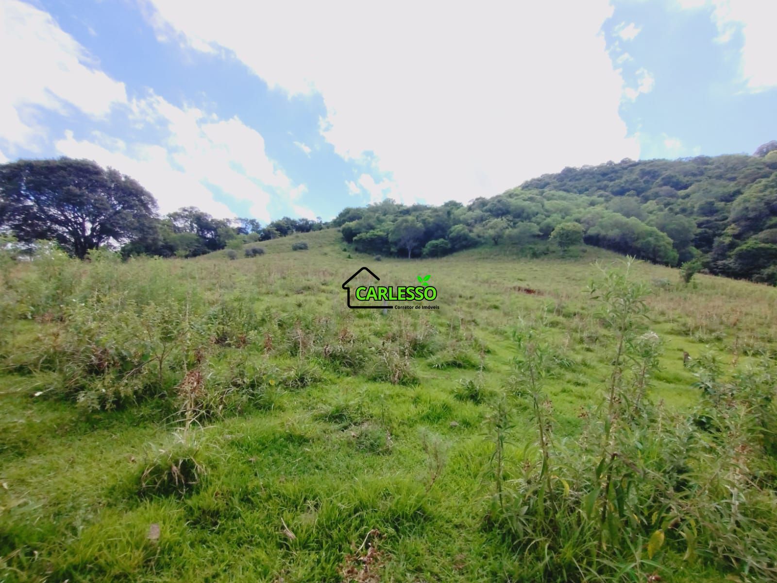 Fazenda/sítio/chácara/haras à venda, 29.000 m² por R$ 110.000,00 Fazenda/sítio/chácara/haras à venda, 29.000 m² por R$ 110.000,00