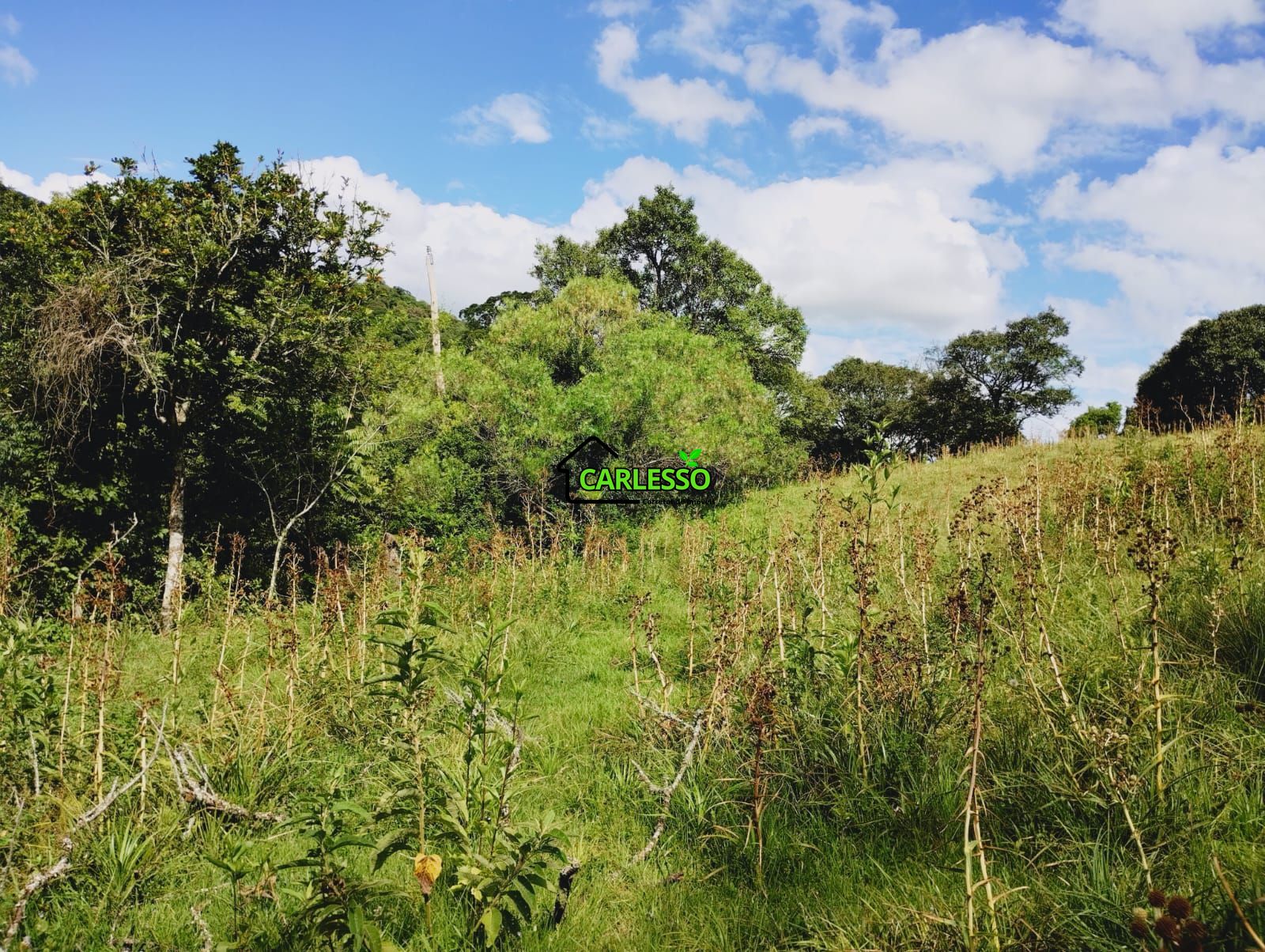 Fazenda/sítio/chácara/haras à venda, 29.000 m² por R$ 110.000,00 Fazenda/sítio/chácara/haras à venda, 29.000 m² por R$ 110.000,00