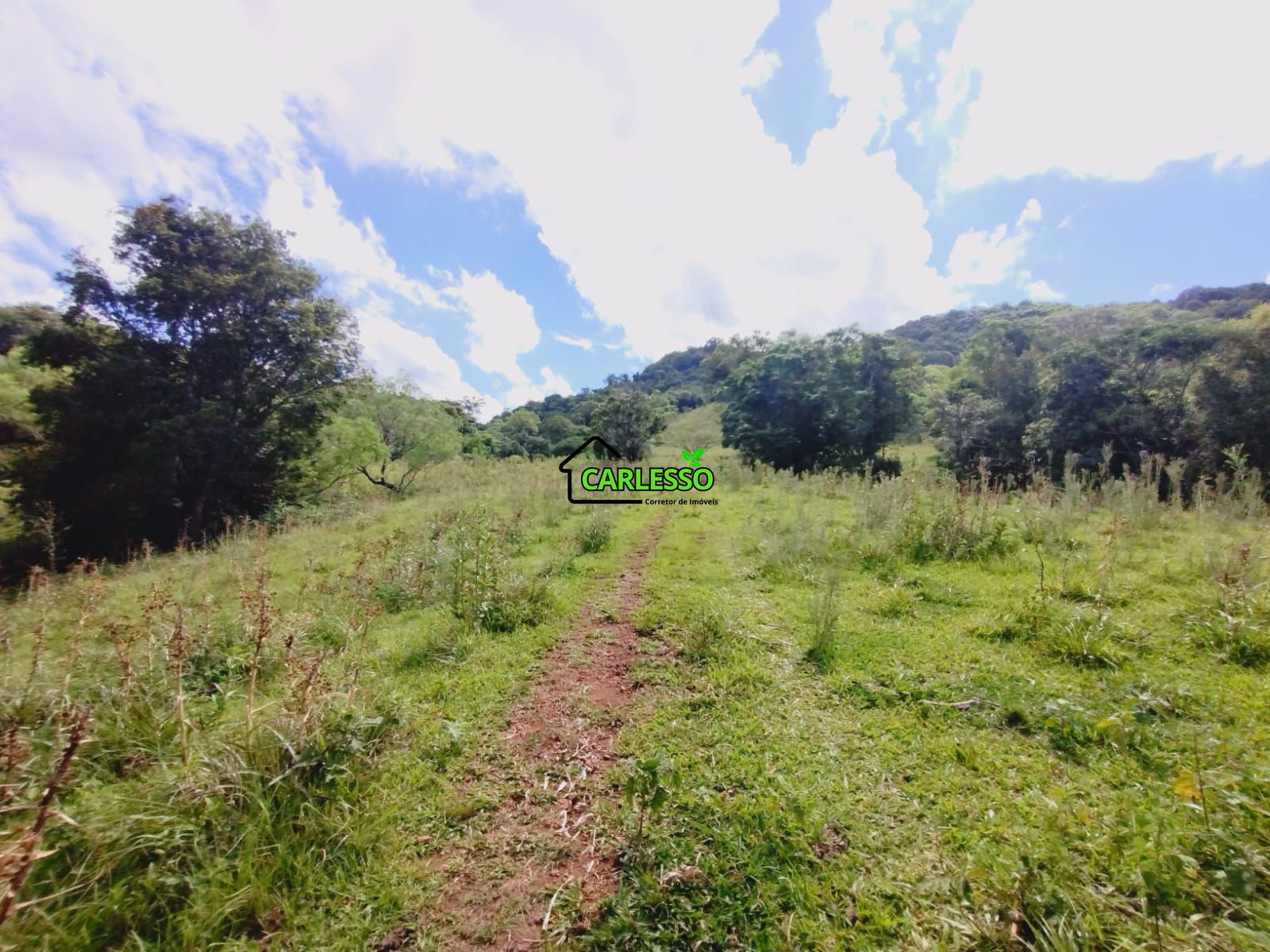 Chácara, 3 hectares - Foto 4