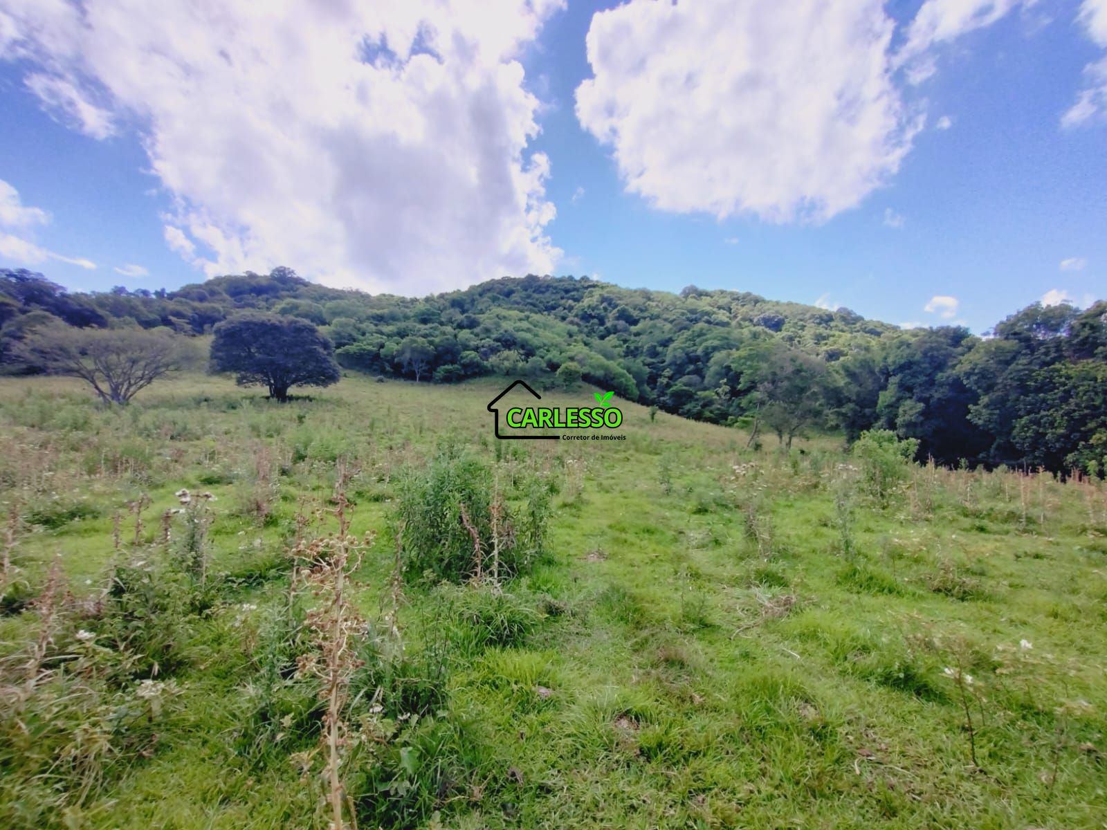 Fazenda/sítio/chácara/haras à venda, 29.000 m² por R$ 110.000,00 Fazenda/sítio/chácara/haras à venda, 29.000 m² por R$ 110.000,00