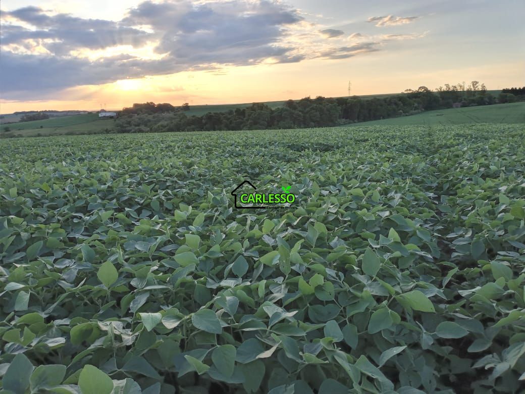 48 ha em santo ângelo