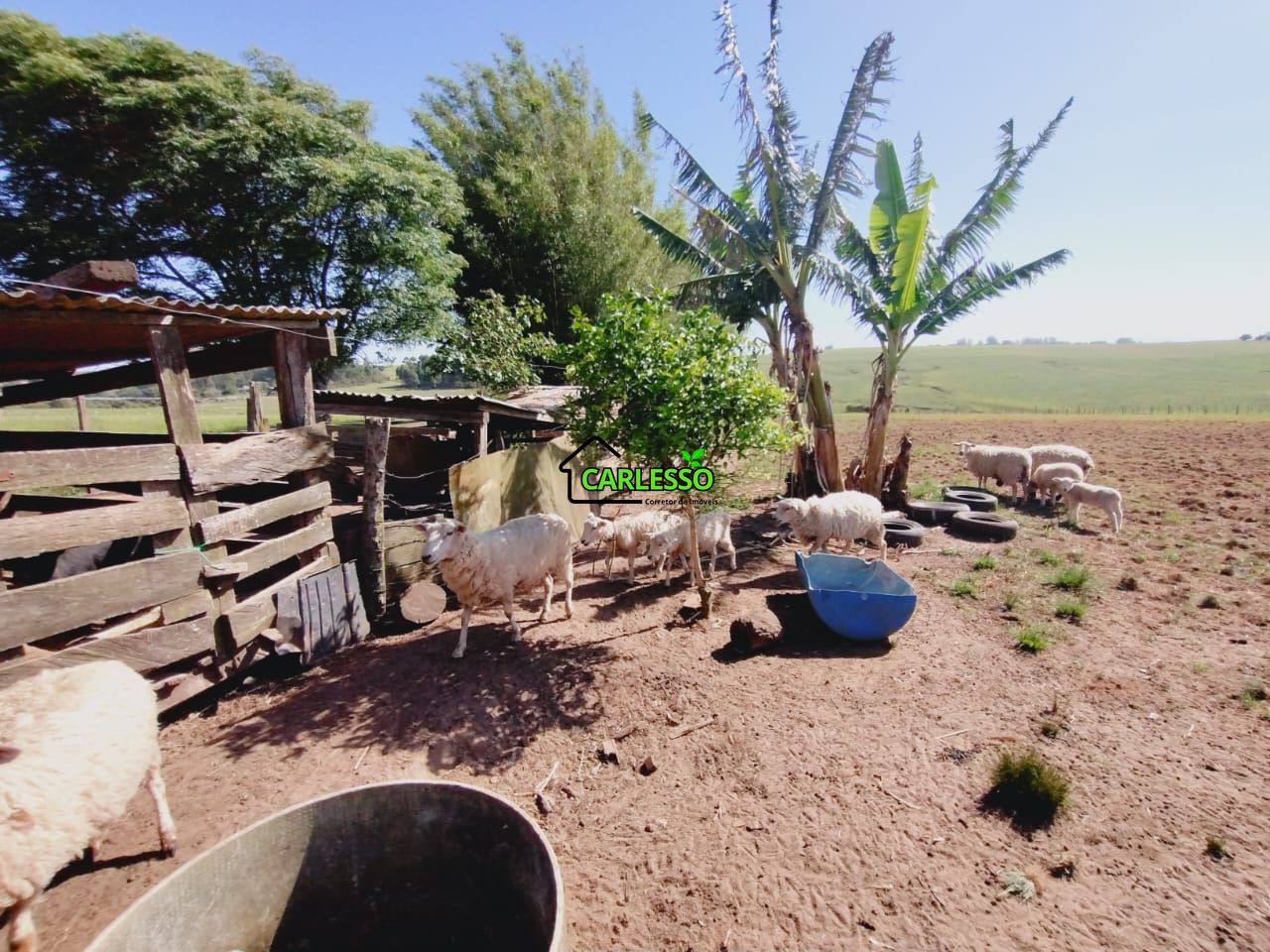 Chácara, 2 quartos, 2 hectares - Foto 25