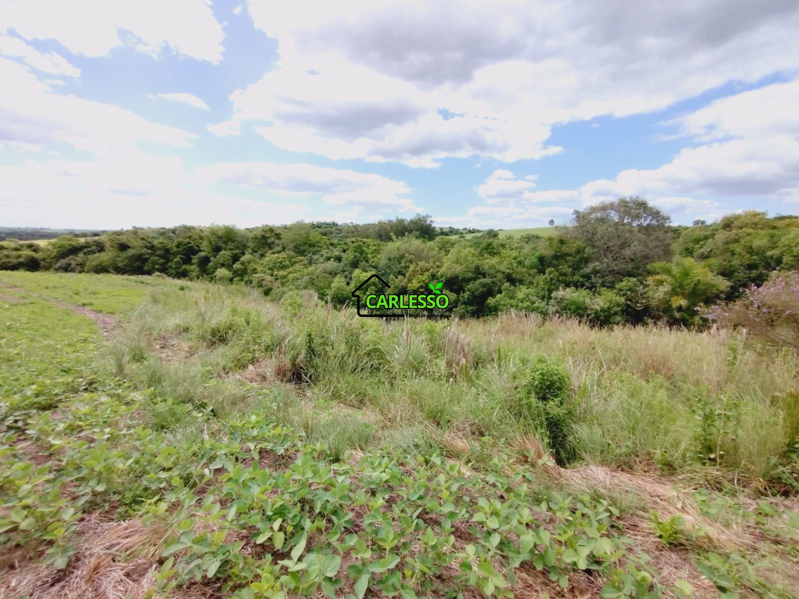 Sítio, 25 hectares - Foto 47