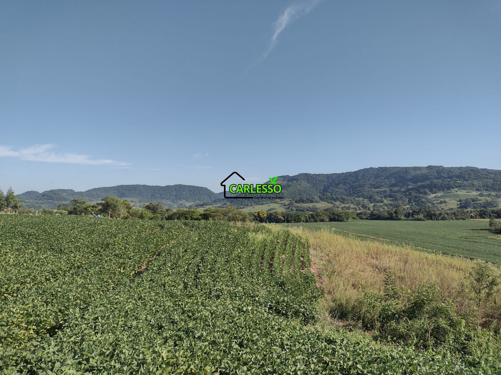 Área de 8,5 ha a venda