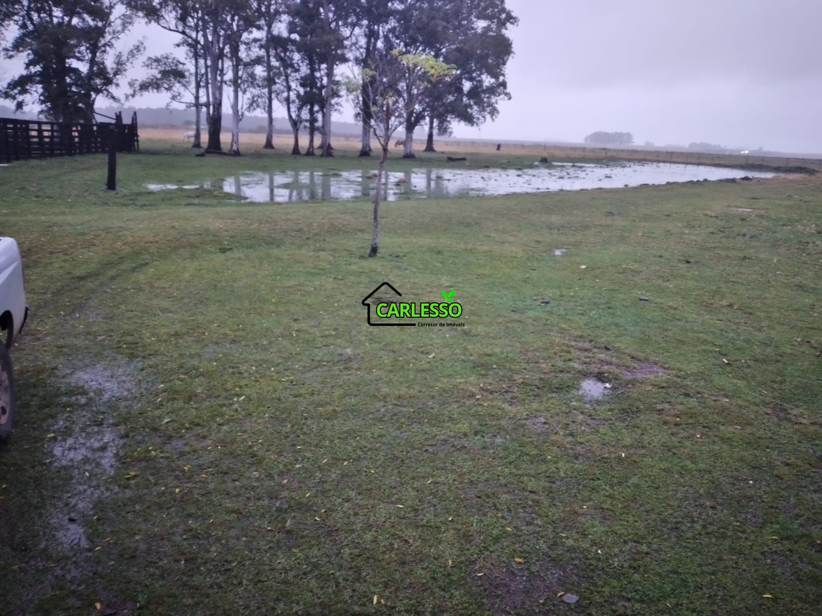 Fazenda de 65 ha